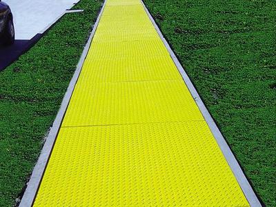 道路草坪樱桃性爱视频应用